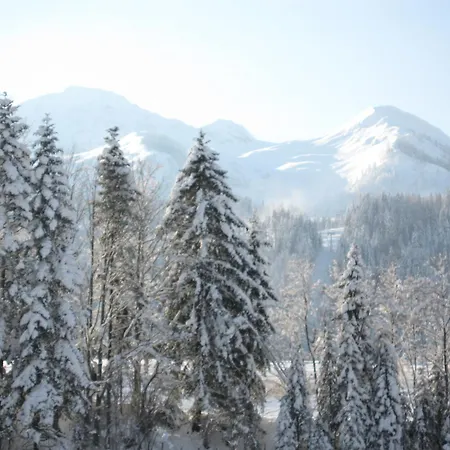 Apartamento Johann Niedermoser