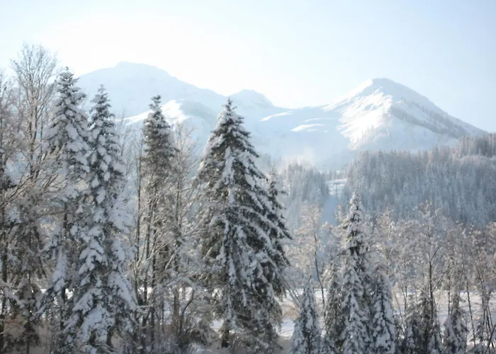 아파트 Johann Niedermoser